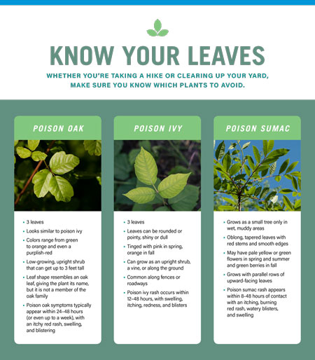 Know Your Leaves - Steward Health Care